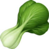 Warzywo liściaste - Facebook