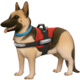 Pies pomocnik - Facebook