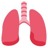 Płuca - Twitter / X