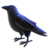 Czarny ptak - Facebook