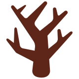 Drzewo bez liści - Twitter / X