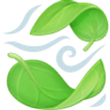 Liście na wietrze - Facebook