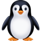 Pingwin - Facebook