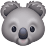 Koala - Facebook