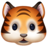 Głowa tygrysa - Facebook