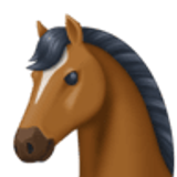 Głowa konia - Facebook
