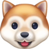 Głowa psa - Facebook