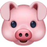 Głowa świni - Facebook