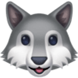 Głowa wilka - Facebook