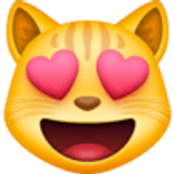 Uśmiechnięty kot z oczami w kształcie serca - Facebook