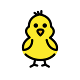Kurczątko od przodu - OpenMoji
