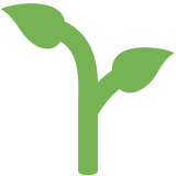 Sadzonka - Twitter / X