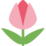 Tulipan - Twitter / X