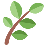 Zioło - Twitter / X