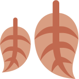 Spadające liście - Twitter / X
