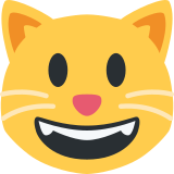 Uśmiechnięty kot - Twitter / X