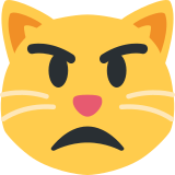 Nadąsany kot - Twitter / X