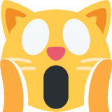 Przestraszony kot - Twitter / X