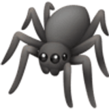 Pająk - Facebook