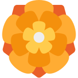 Rozeta - Twitter / X