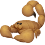 Brązowy skorpion - Facebook