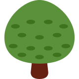 Drzewo liściaste - Twitter / X