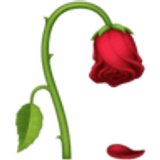 Zwiędły kwiat - Facebook