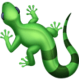 Jaszczurka - Facebook