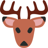 Jeleń - Twitter / X