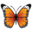 Motyl emotikona U+1F98B Motyl emotikona U+1F98B