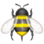 Pszczoła Whatsapp U+1F41D Pszczoła Whatsapp U+1F41D