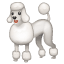 Pudel Emoji U+1F429 Pudel Emoji U+1F429