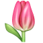 Tulipan emotikona U+1F337 Tulipan emotikona U+1F337